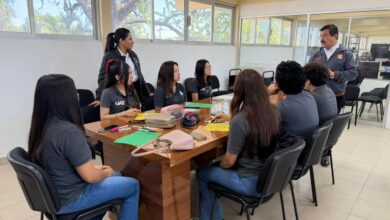 El programa de certificación internacional gratuita para estudiantes, docentes y personal administrativo, ya está abierto, informó el Rector Dámaso Anaya Alvarado.