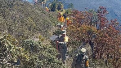 Bigadistas combaten incendio forestal en Miquihuana.