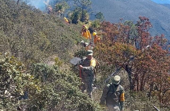 Bigadistas combaten incendio forestal en Miquihuana.