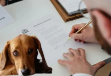 custodia_mascotas