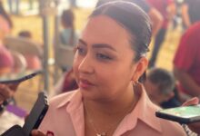 Directora del distrito de Salud para el Bienestar descarta casos de sarampión en Cd Victoria.