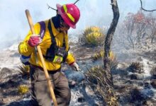 Incendio forestal en Miquihuana
