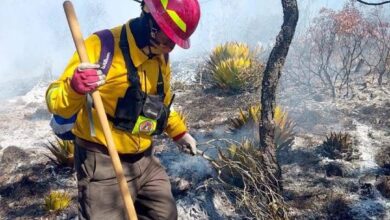 Incendio forestal en Miquihuana