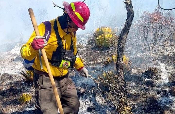 Incendio forestal en Miquihuana