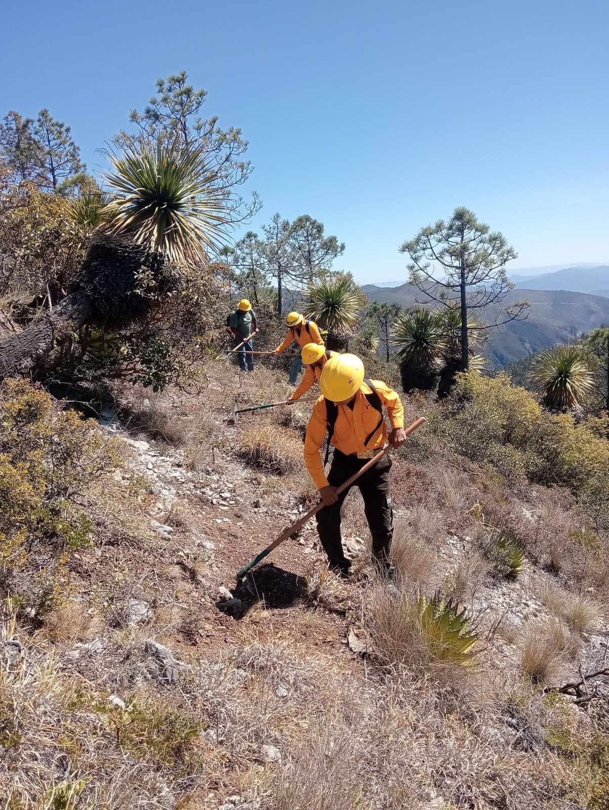 Siguen acciones para combatir incendio en Miquihuana