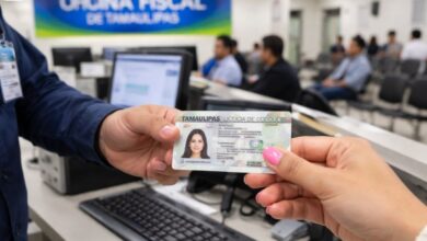 licencia de conducir en Tamaulipas