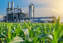 Las plantas de etanol además de producir energía limpia darán mayor rentabilidad, estabilidad de precios y diversificación del ingreso a los productores de sorgo en Tamaulipas.