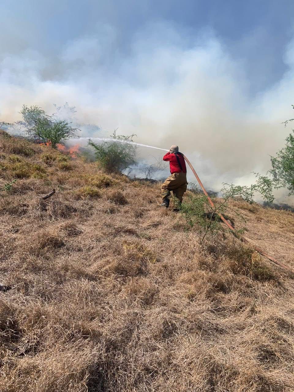 Bomberos combaten incendio en la carretera Mante