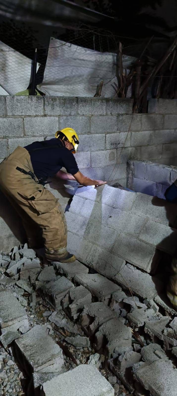 Ráfagas de viento derriban árboles en varios puntos de la ciudad.