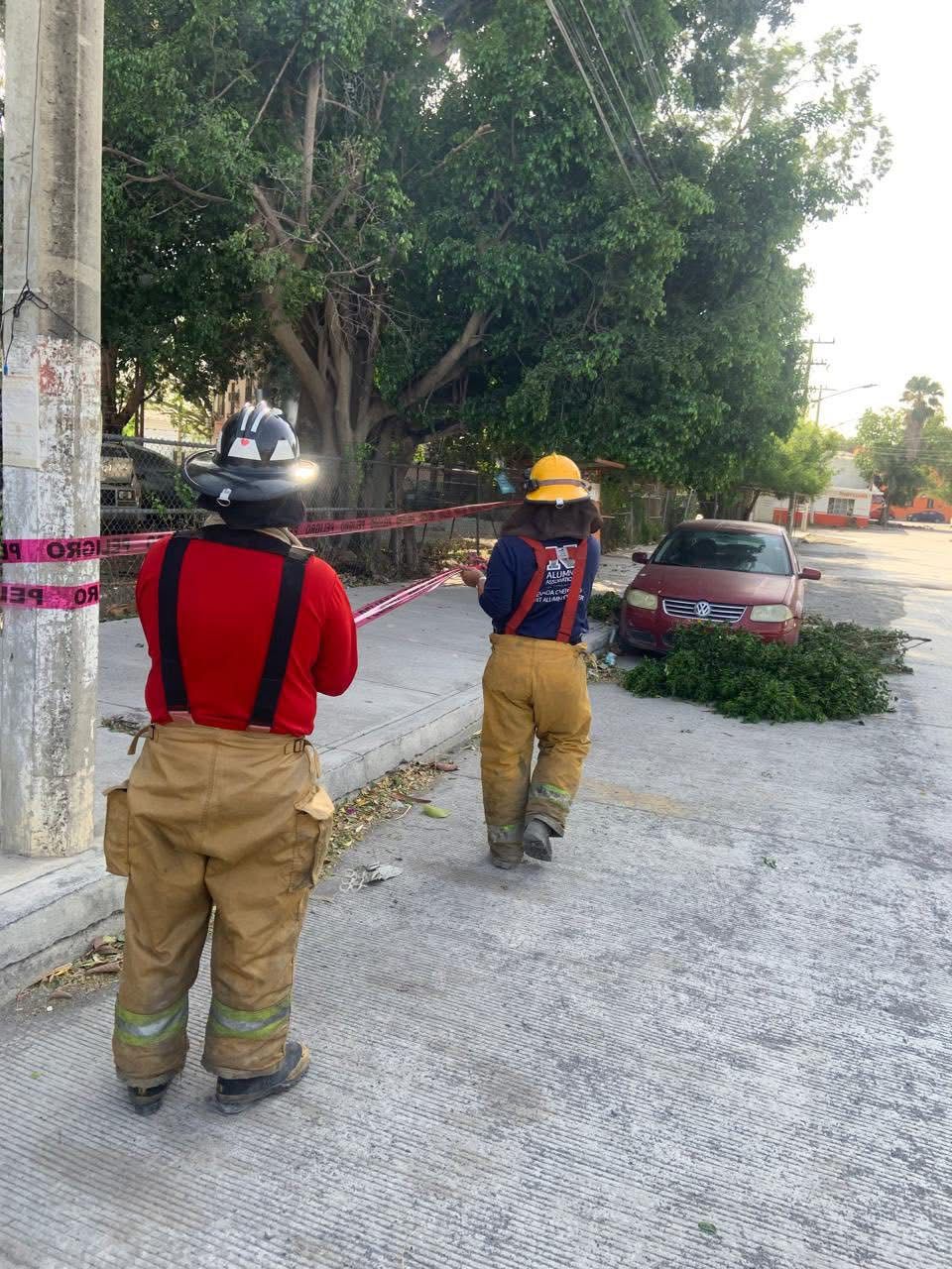 Cuerpo de Bomberos descartan riesgo de colapso de espectaculares.