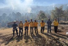 Mandan brigadas para ayudar a combatir incendio.