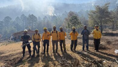 Mandan brigadas para ayudar a combatir incendio.