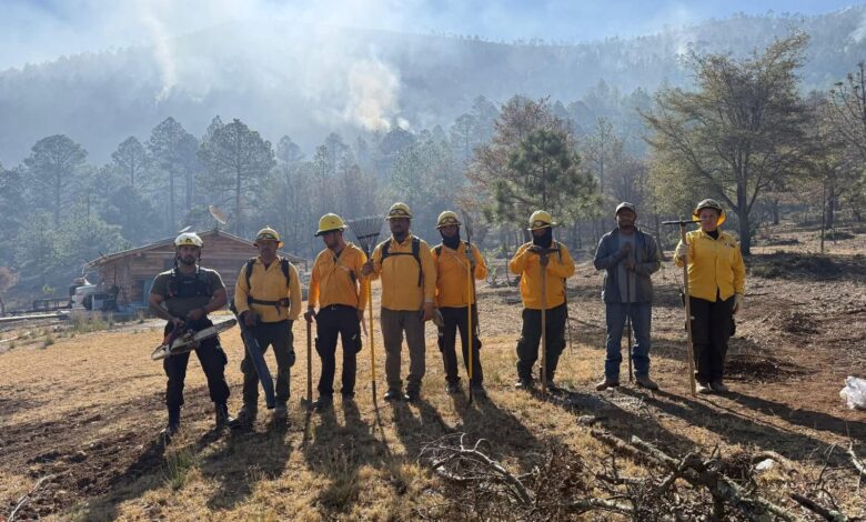 Mandan brigadas para ayudar a combatir incendio.