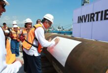 Campo Trión en Tamaulipas