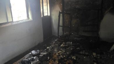 Cuerpo de Bomberos Victoria atienden llamado en colonia Carrera Torres