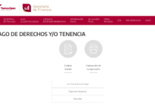 Requisitos para derecho vehicular Tamaulipas