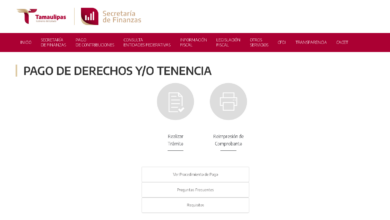 Requisitos para derecho vehicular Tamaulipas