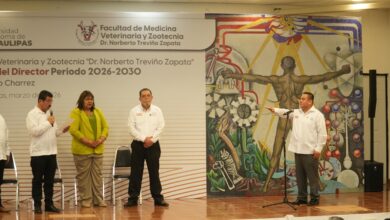 Director de Veterinaria