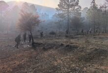 Tras reporte de incendio Guardia Estatal activa Plan Tamaulipas