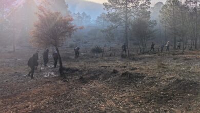 Tras reporte de incendio Guardia Estatal activa Plan Tamaulipas