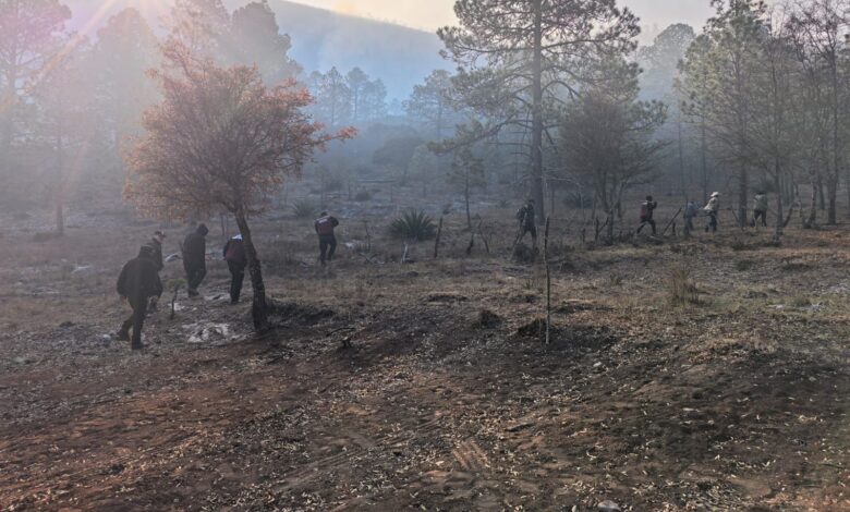 Tras reporte de incendio Guardia Estatal activa Plan Tamaulipas