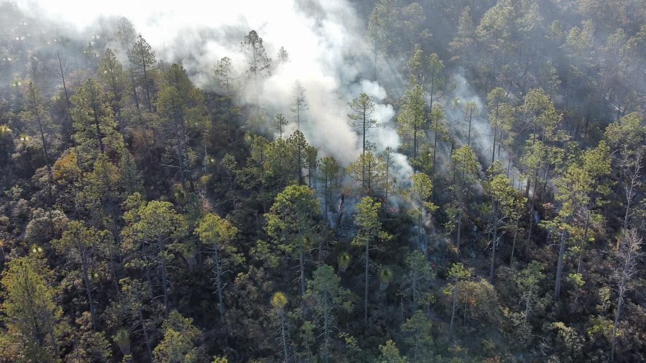Mandan brigadas para ayudar a combatir incendio.