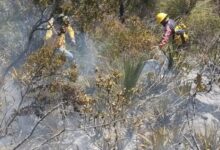 Incendio en cerro de Tapozán se entiende