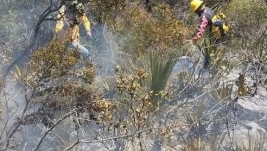 Incendio en cerro de Tapozán se entiende