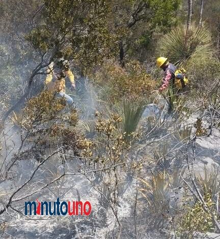 Incendio en cerro de Tapozán se entiende