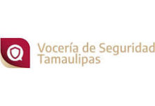 Reportan incendio en pastizal en carretera González-Llera.