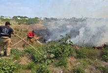 Bomberos combaten incendio en camino viejo a El Olmo