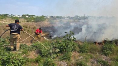 Bomberos combaten incendio en camino viejo a El Olmo