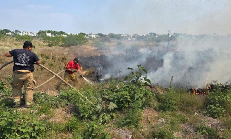 Bomberos combaten incendio en camino viejo a El Olmo