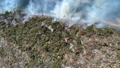 Incendio en sierra de Miquihuana arrasa hectáreas