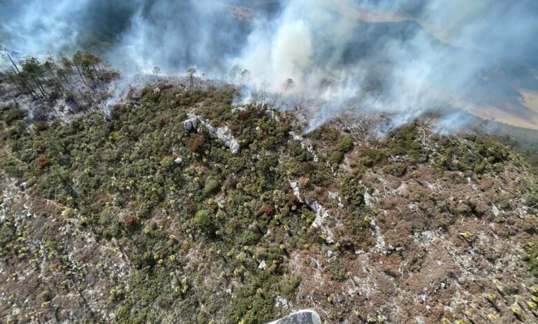 Incendio en sierra de Miquihuana arrasa hectáreas