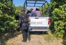 Guardia Estatal detiene a cinco hombres por presunto robo de cítricos en Nuevo Padilla