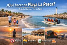 Que hacer y recomendaciones para Playa La Pesca.