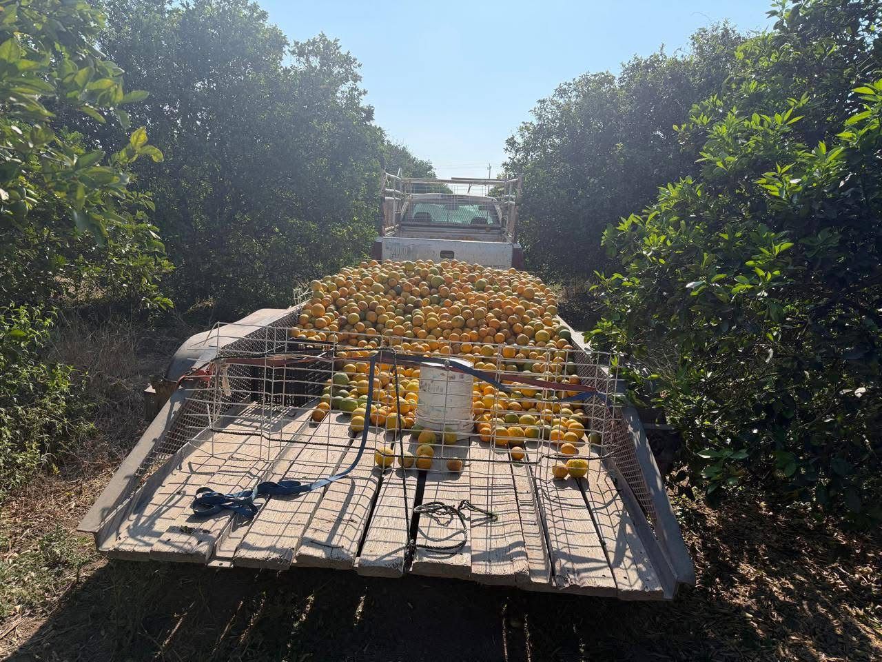 presunto robo nuevo padilla