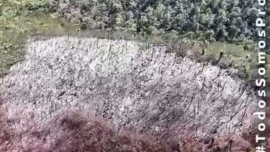 Realizan sobrevuelo en incendio de Jaumave