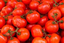 Tomate dispara precio en Tamaulipas