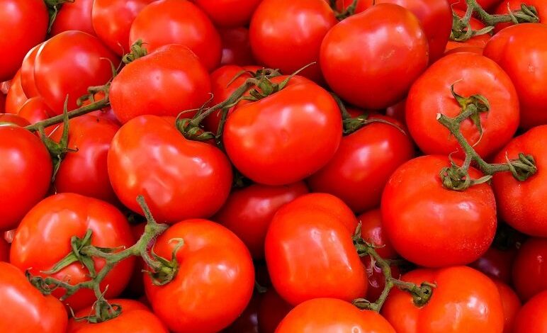 Tomate dispara precio en Tamaulipas