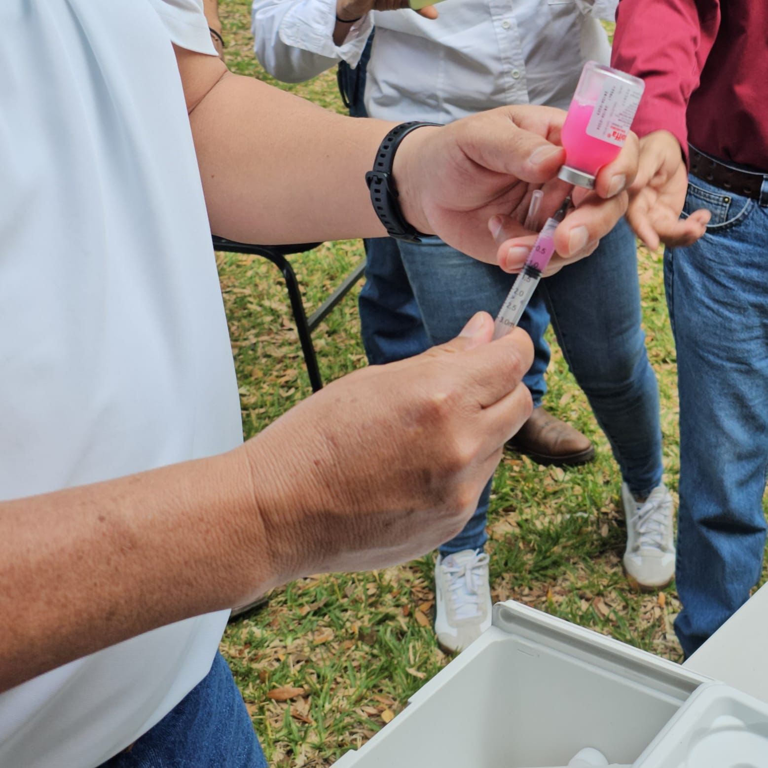 Inicia campaña de vacunación antirrábica 2026