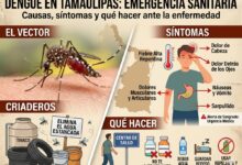 Dengue en Tamaulipas: causas, síntomas y tratamiento