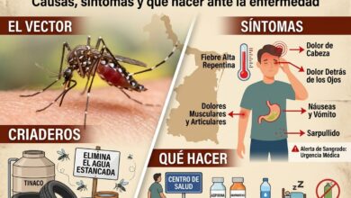 Dengue en Tamaulipas: causas, síntomas y tratamiento