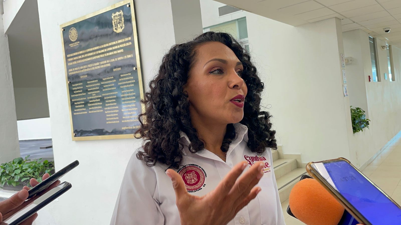 Diputada aclara origen de la iniciativa para Colegio de Periodistas