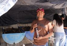 Desarrollan estudiantes de la FIC biofertilizantes