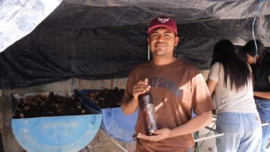 Desarrollan estudiantes de la FIC biofertilizantes