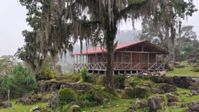 Gómez Farías, refugio natural en Tamaulipas; desde acampar bajo las estrellas, kayak y mucho más, en medio de la naturaleza