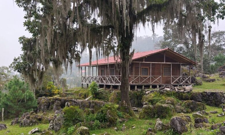Gómez Farías, refugio natural en Tamaulipas; desde acampar bajo las estrellas, kayak y mucho más, en medio de la naturaleza