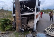Microbús se impacta contra palmera y deja 15 lesionados
